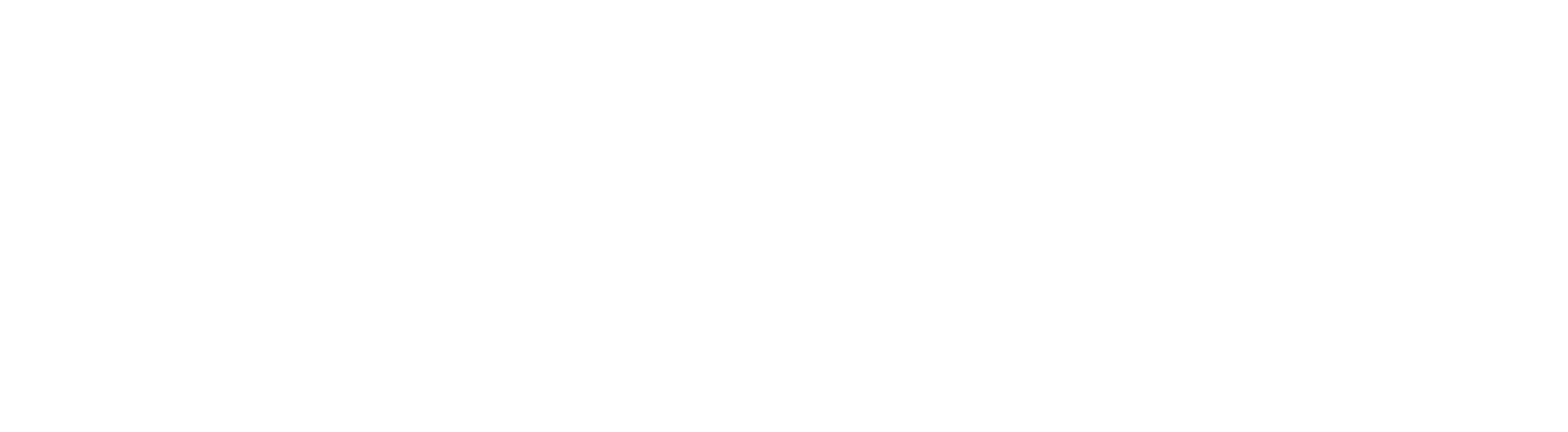 BPI Boston logo