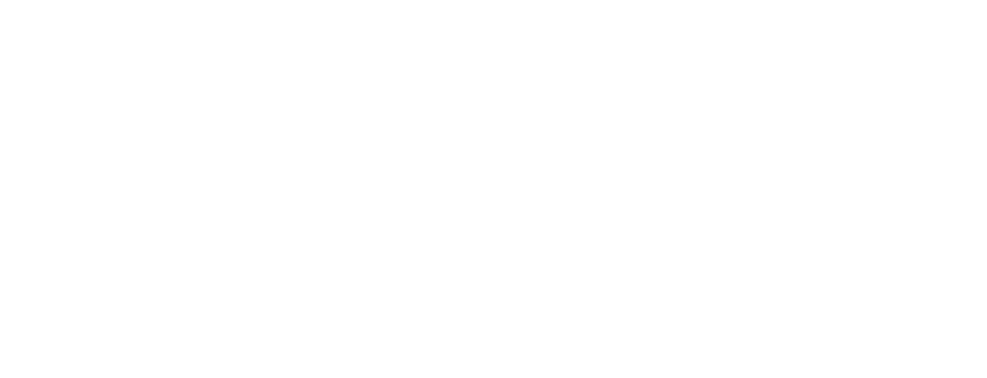 BPI APAC logo